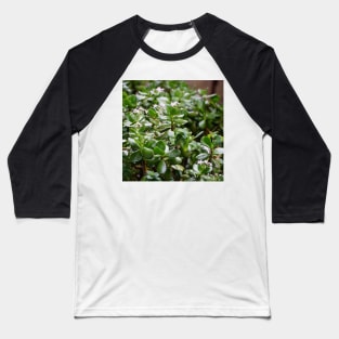 Flowers in the Rain Baseball T-Shirt